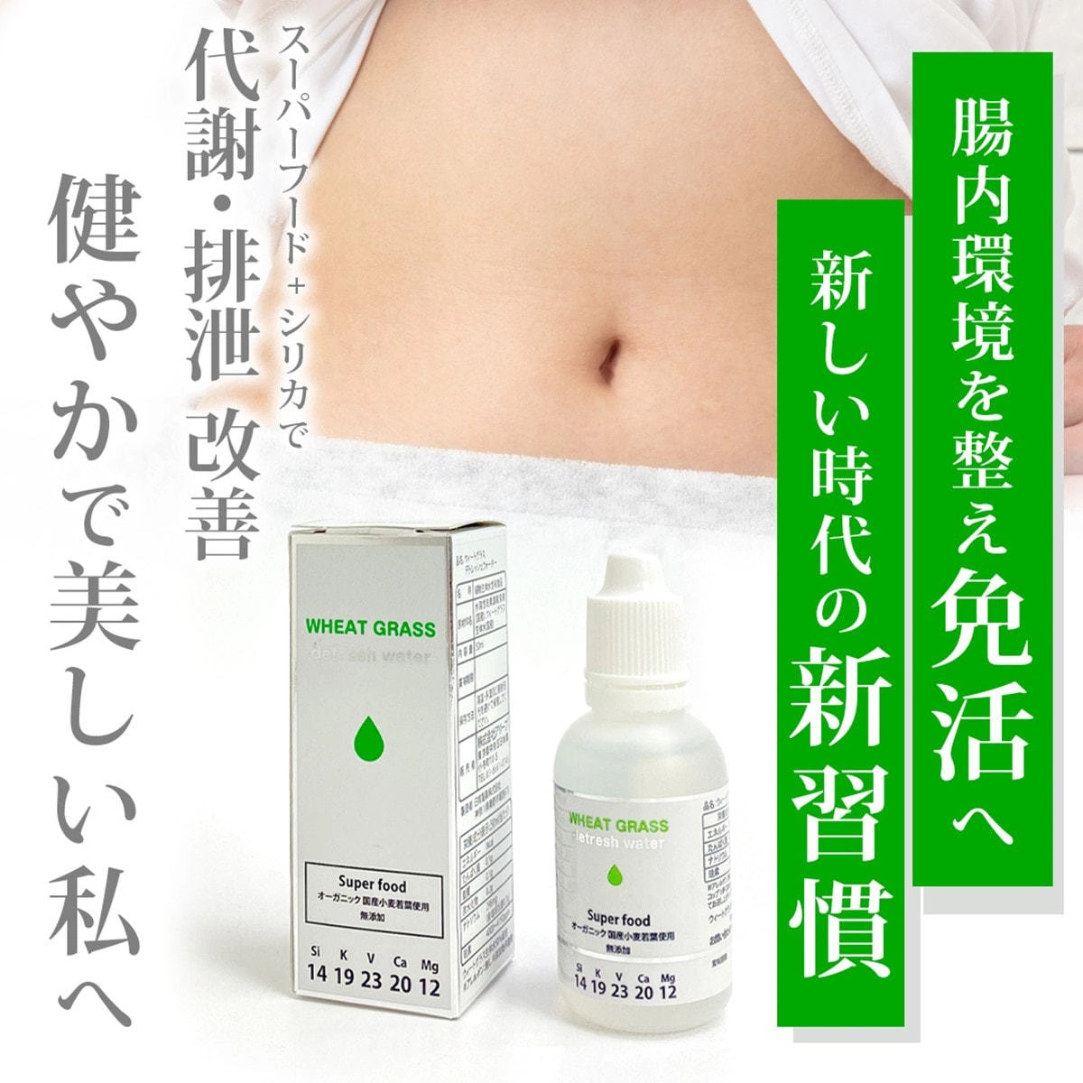 【3月限定】鉄壁防衛・フルシールドセット 〜出す、巡る、守り抜く。3月〜5月の「5Kの嵐」を凪(なぎ)に変える全方位プラン〜 - 画像 (6)