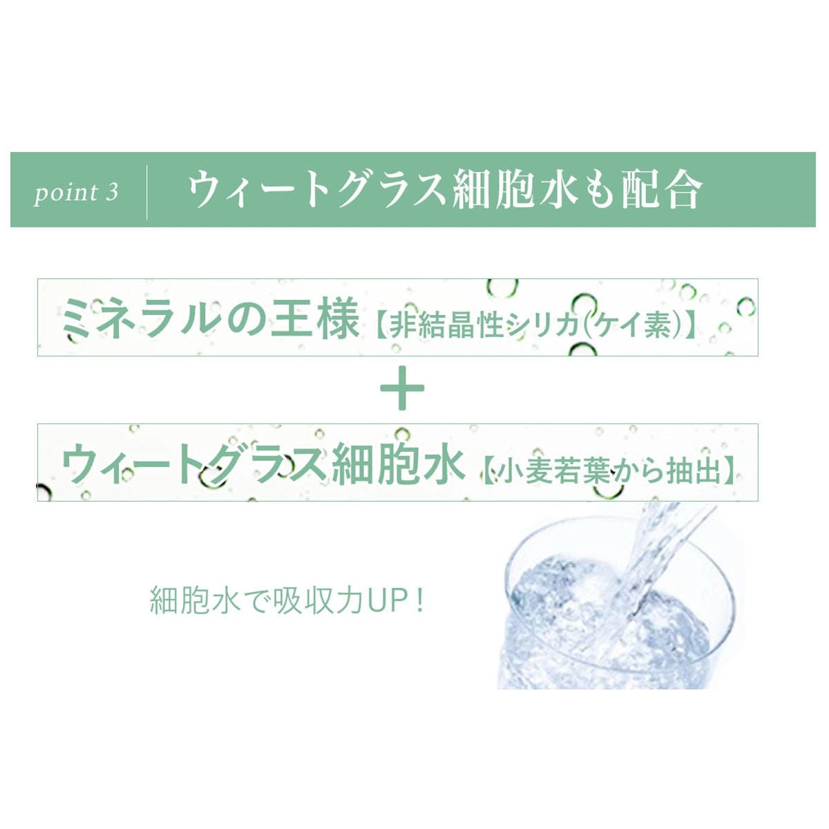 【3月限定】鉄壁防衛・フルシールドセット 〜出す、巡る、守り抜く。3月〜5月の「5Kの嵐」を凪(なぎ)に変える全方位プラン〜 - 画像 (7)