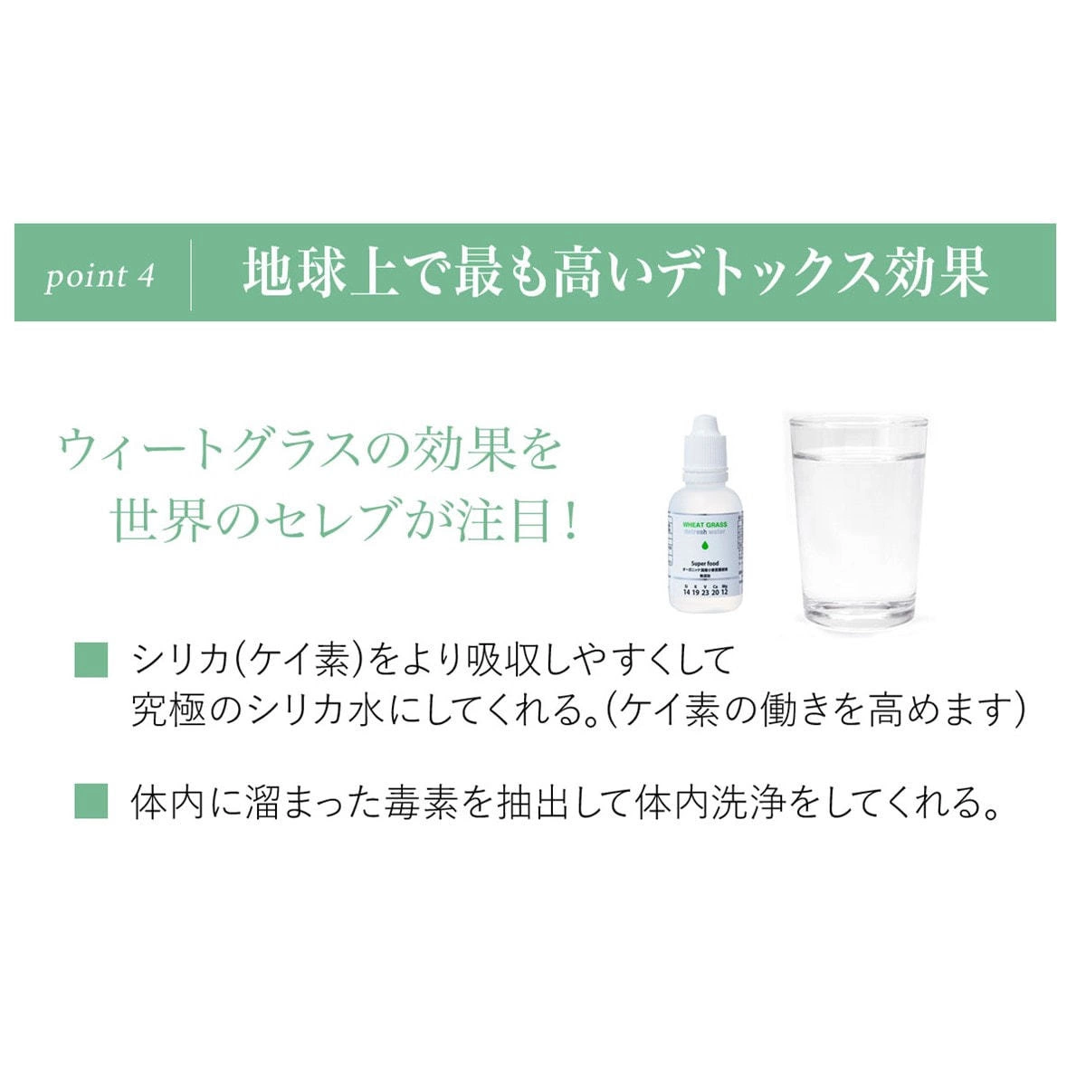 【3月限定】鉄壁防衛・フルシールドセット 〜出す、巡る、守り抜く。3月〜5月の「5Kの嵐」を凪(なぎ)に変える全方位プラン〜 - 画像 (8)