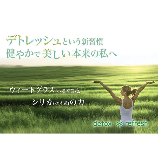 【3月限定】鉄壁防衛・フルシールドセット 〜出す、巡る、守り抜く。3月〜5月の「5Kの嵐」を凪(なぎ)に変える全方位プラン〜 - 画像 (9)