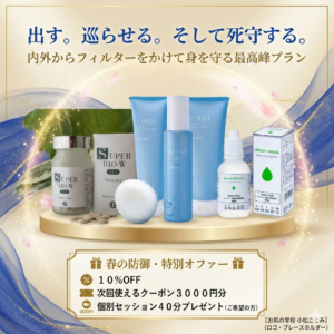 【３月限定】鉄壁防衛・フルシールドセット　〜出す、巡る、守り抜く。3月〜5月の「5Kの嵐」を凪（なぎ）に変える全方位プラン〜